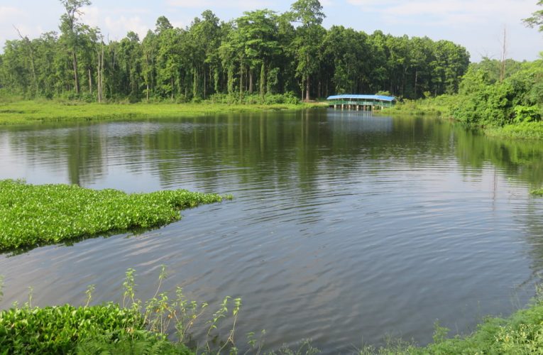 विश्व सिमसार दिवश – २०८०