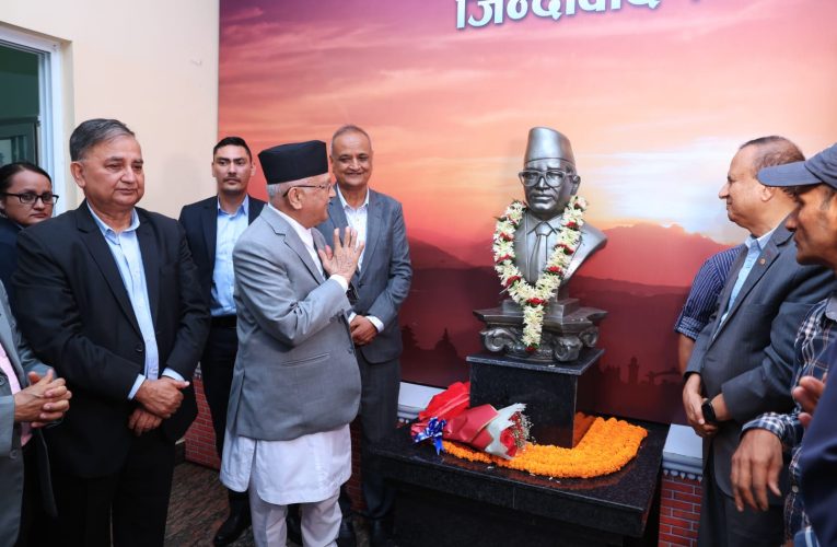 जननेता भण्डारीकाे प्रतिमा अनावरण